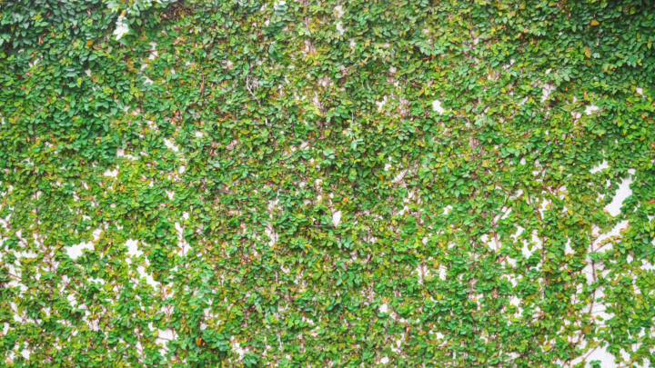 Green Coatings – Reality, future or a dream?