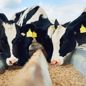Algol Chemicals Industries - Feed and Agriculture